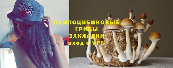 MESCALINE Верея