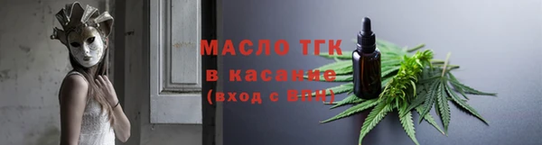 шишки Чердынь