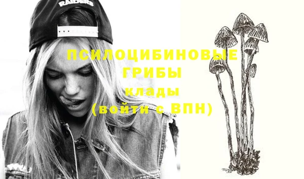 MESCALINE Верея