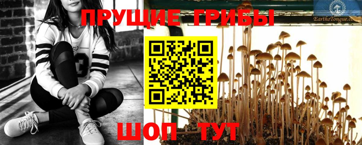 Галлюциногенные грибы Cubensis Медногорск